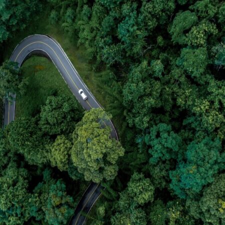 Vista aérea de estrada sinuosa cercada por floresta densa, com carro branco em movimento