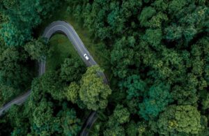 Vista aérea de estrada sinuosa cercada por floresta densa, com carro branco em movimento